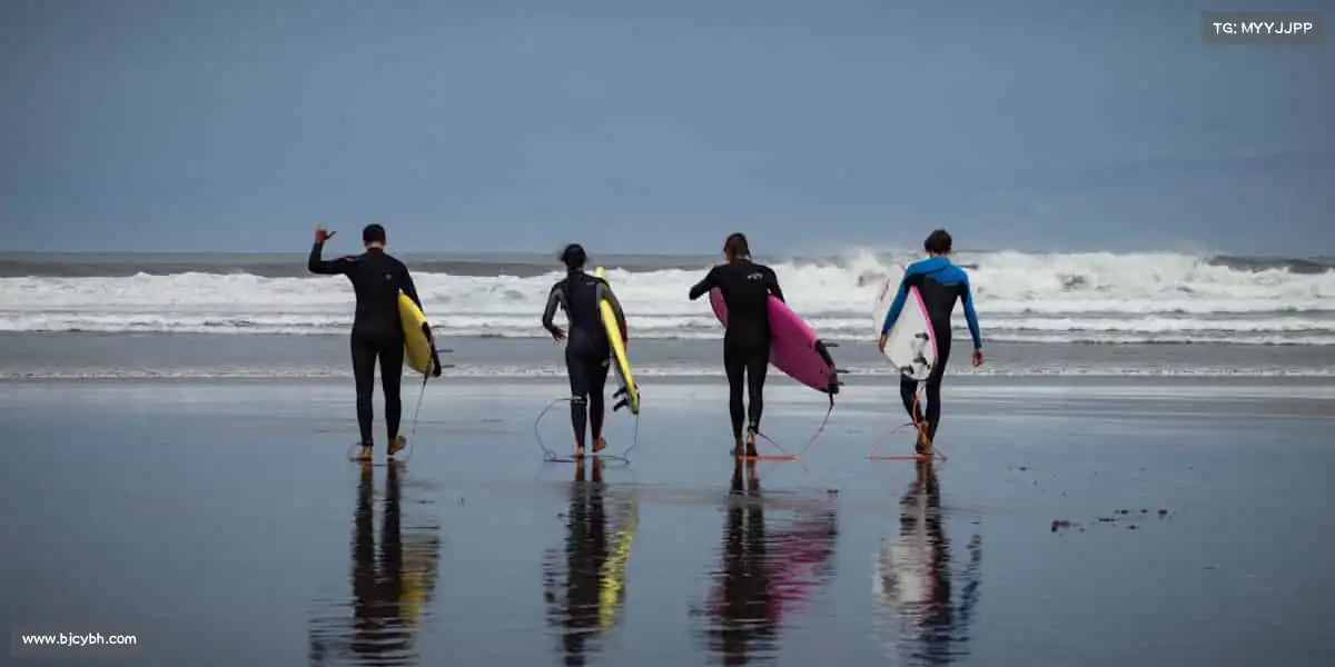 为什么选择我们